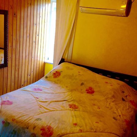 Casa De Campo,Sitio,Vale Europeu-Sc Рио дос Седрос Екстериор снимка
